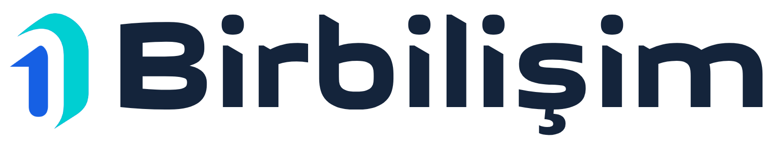 Birbilişim | Dijital Ajans