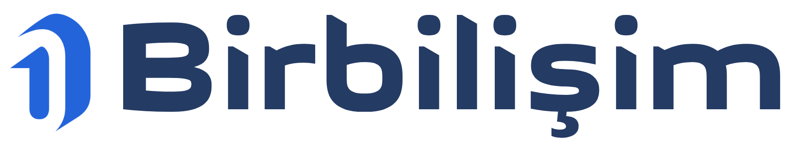 Birbilişim | Dijital Ajans